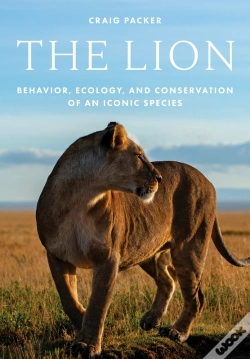 Capa do artigo The Lion