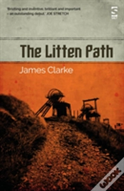 Capa do artigo The Litten Path