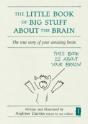The Little Book Of Big Stuff About The Brain - Preview