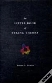 Capa do artigo The Little Book Of String Theory