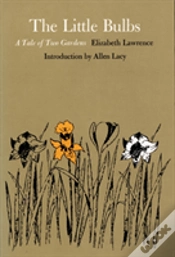 Capa do artigo The Little Bulbs