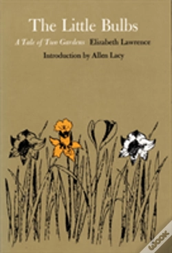 Capa do artigo The Little Bulbs
