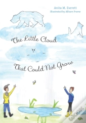 The Little Cloud That Could Not Grow