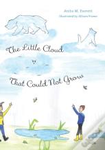 The Little Cloud That Could Not Grow