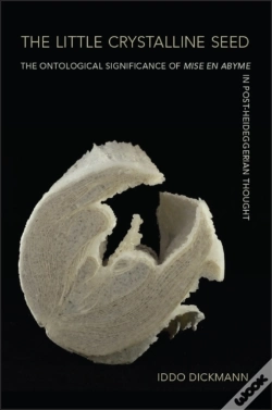 Capa do artigo The Little Crystalline Seed