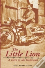 Capa do artigo The Little Lion