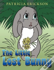 Capa do artigo The Little Lost Bunny