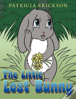 Capa do artigo The Little Lost Bunny
