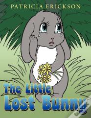 The Little Lost Bunny
