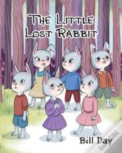 The Little Lost Rabbit