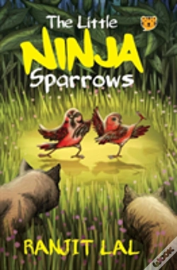 Capa do artigo The Little Ninja Sparrows
