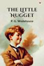 The Little Nugget (Edition1) - Preview