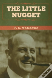 Capa do artigo The Little Nugget