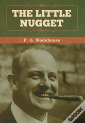 Capa do artigo The Little Nugget