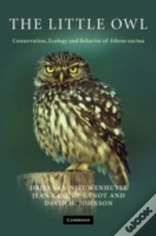 Capa do artigo The Little Owl