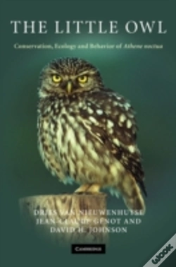 Capa do artigo The Little Owl