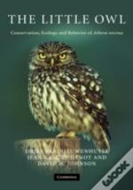 The Little Owl