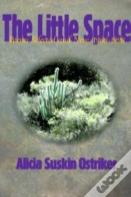 The Little Space
