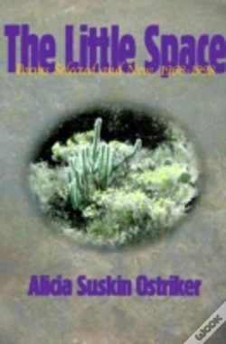 Capa do artigo The Little Space