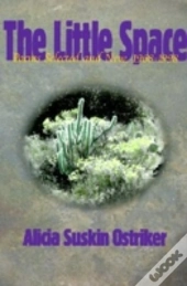 The Little Space