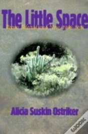Capa do artigo The Little Space