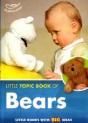 The Little Topic Book Of Bears - Preview