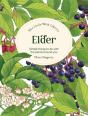 The Little Wild Library: Elder - Preview