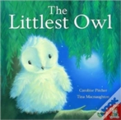 Capa do artigo The Littlest Owl