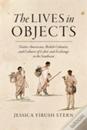 Capa do artigo The Lives In Objects