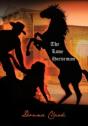The Lone Horseman - Preview