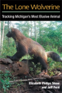 The Lone Wolverine - Preview