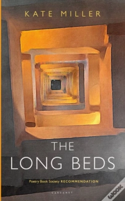 Capa do artigo The Long Beds