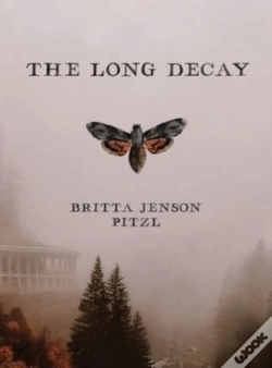 Capa do artigo The Long Decay