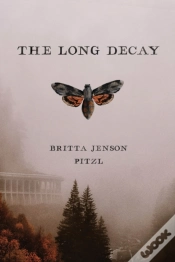 Capa do artigo The Long Decay