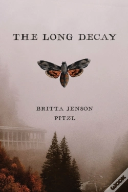 Capa do artigo The Long Decay