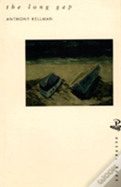 Capa do artigo The Long Gap