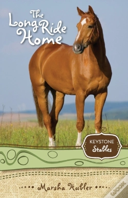 Capa do artigo The Long Ride Home