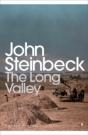 The Long Valley - Preview