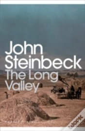 Capa do artigo The Long Valley