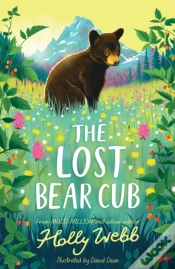 Capa do artigo The Lost Bear Cub