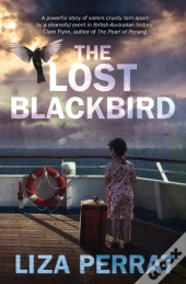 The Lost Blackbird