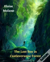 Capa do artigo The Lost Boy In Castleveranne Forest