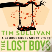 Capa do artigo The Lost Boys