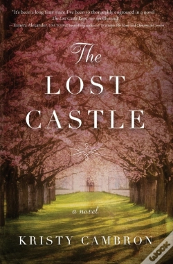 Capa do artigo The Lost Castle
