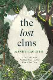 Capa do artigo The Lost Elms