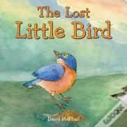 The Lost Little Bird