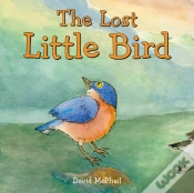 Capa do artigo The Lost Little Bird