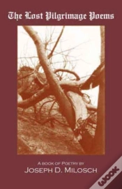 Capa do artigo The Lost Pilgrimage Poems