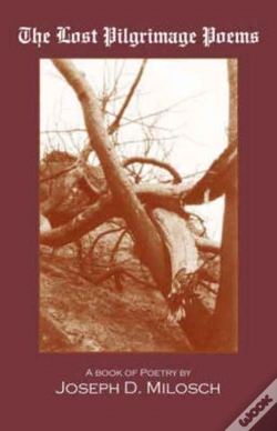 Capa do artigo The Lost Pilgrimage Poems