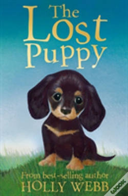 Capa do artigo The Lost Puppy